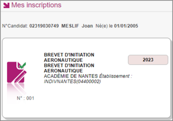 Exemple d'une candidature au BIA