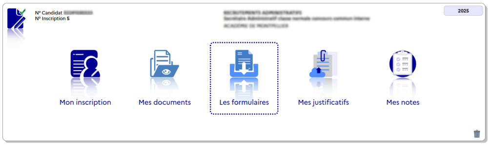 Page d'accueil d'une candidature montrant le menu « Les formulaires »